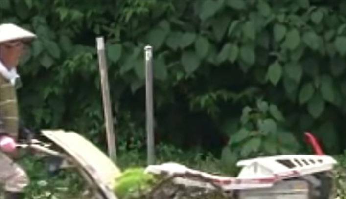 Walking Rice Planting Machine